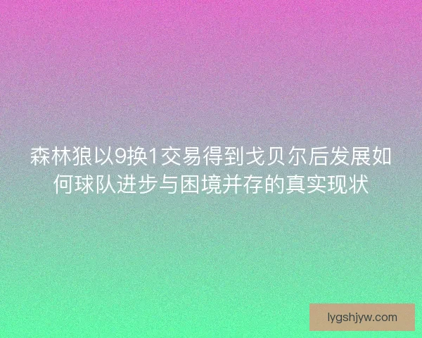 森林狼以9换1交易得到戈贝尔后发展如何球队进步与困境并存的真实现状